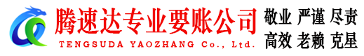 龙子湖讨债公司